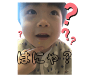 494636320