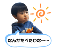 494636333