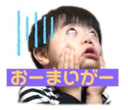 494636334