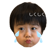 494636346