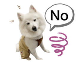 494640689