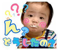 494652816