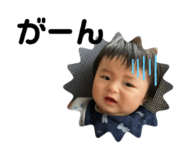 494654589