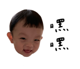 494656559