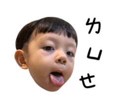 494656562