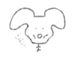 494661641
