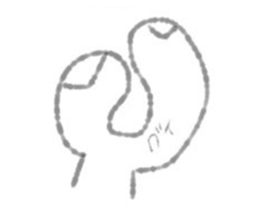 494661645
