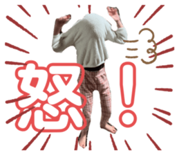 494662781