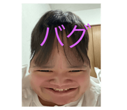 494663306