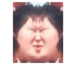 494663310