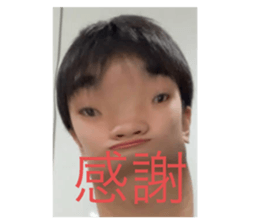 494663311