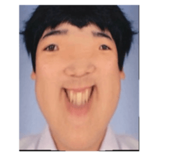 494663316