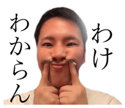 494666264