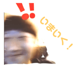 494669125