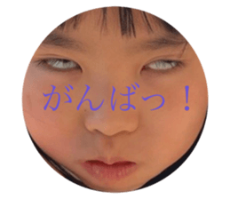 494675978