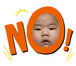 494709329