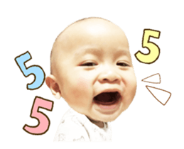 49481916