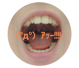 494862798