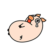 494863139