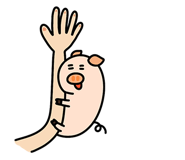 494863156