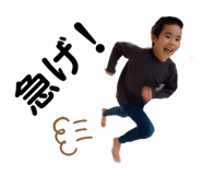494895213