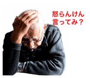 494910836