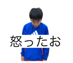 494913846