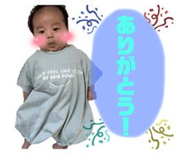 494918657