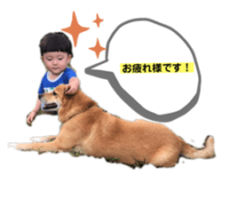494934808