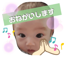 494936336