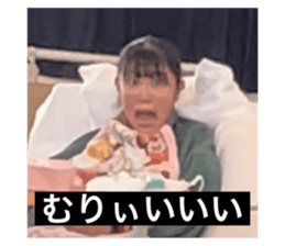 494942800