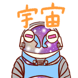 494990232
