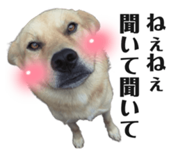 494998669
