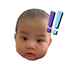 495000767