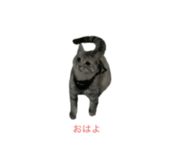 495001025