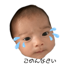 495005037