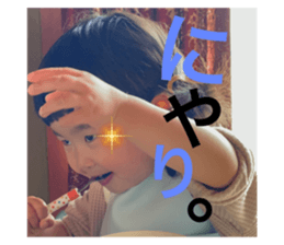 495008158
