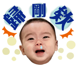 495009738