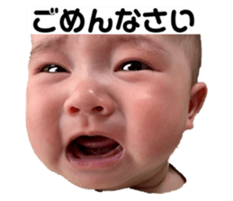 495012581