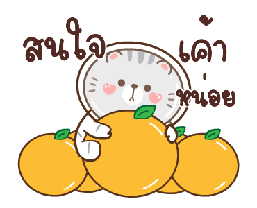ข้าวปั้นกับปลาทู ดุ๊กดิ๊ก 2 รูปที่ 14