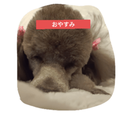 495017023