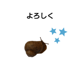 495038790