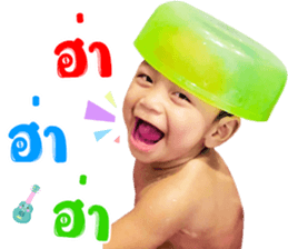 495039820