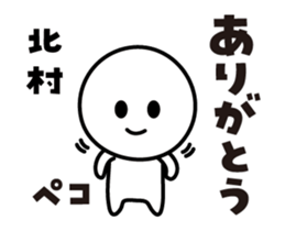 495041385