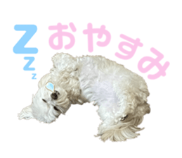 495174032