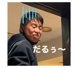 495190431