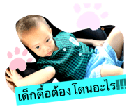 495201558