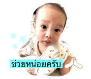 495201565