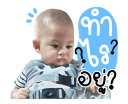 495206252