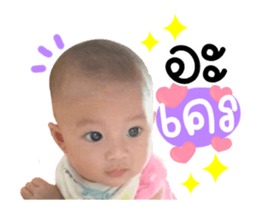 495206255